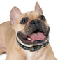 Midnight Blue Plaid Dog Collar