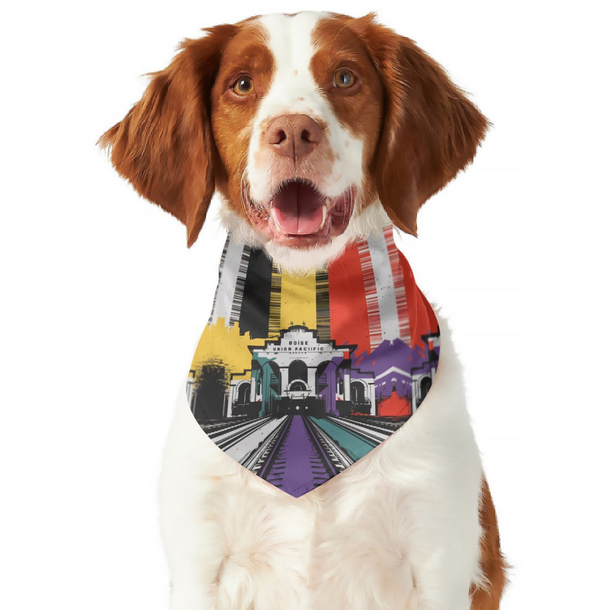 Train Depot Colors Pet's Scarf