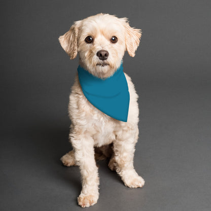 Teal and Yellow Bandana Pet's Scarf