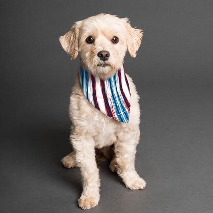 Proud to Be American Pet's Scarf