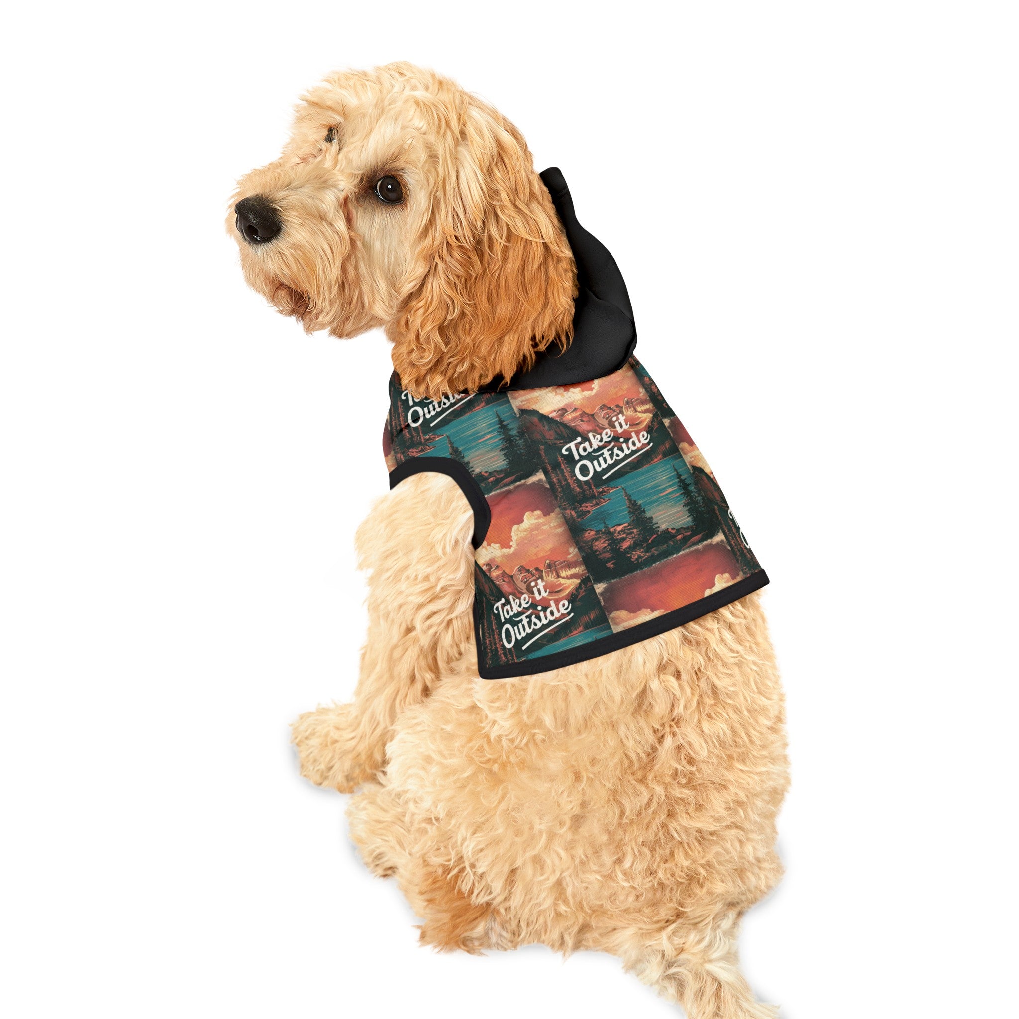 Take it Outside - Pet Hoodie