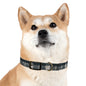 Midnight Blue Plaid Dog Collar