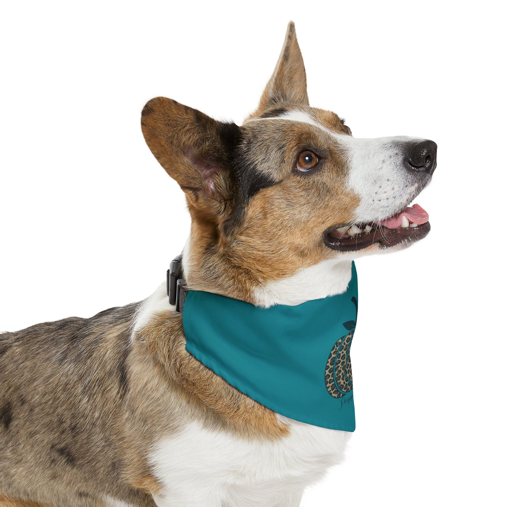 Printify Pets XL Copy of It's Fall - Pet Bandana Collar