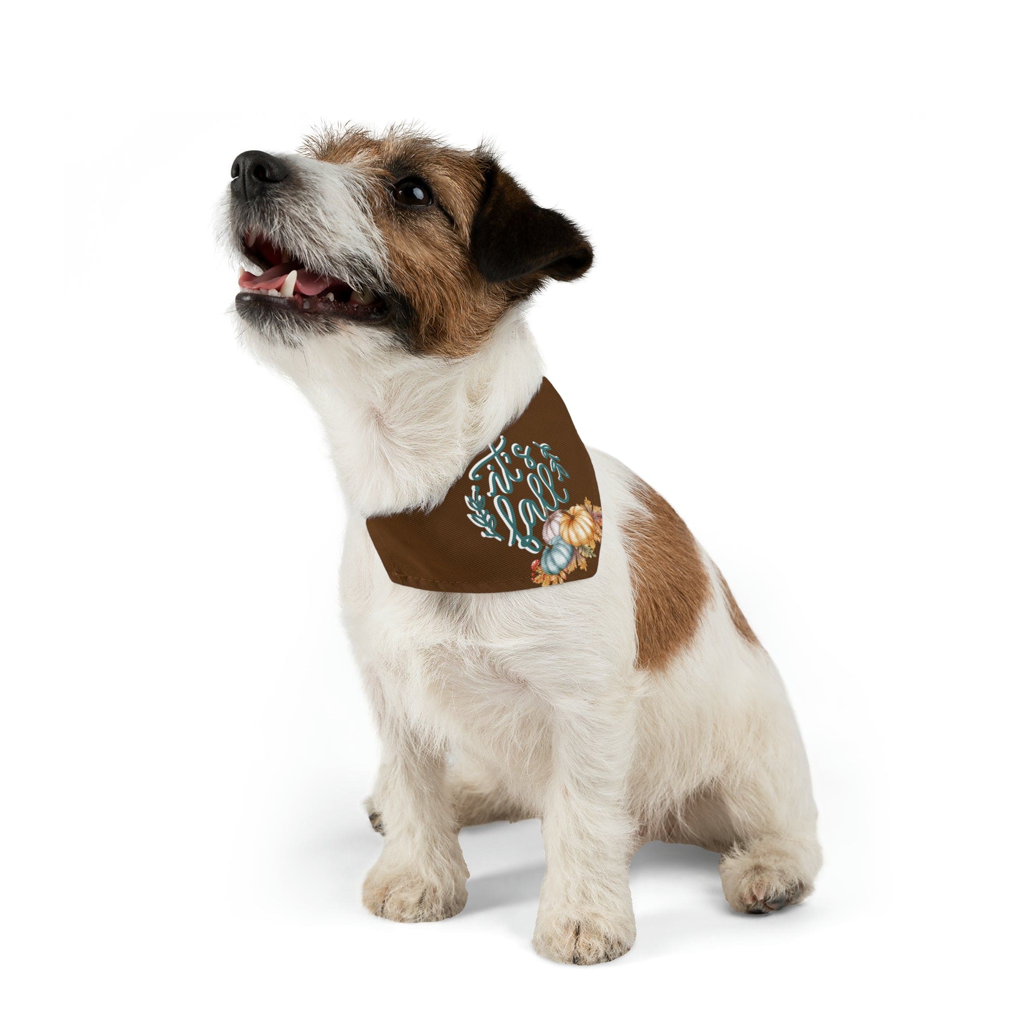 Printify Pets S It's Fall - Pet Bandana Collar