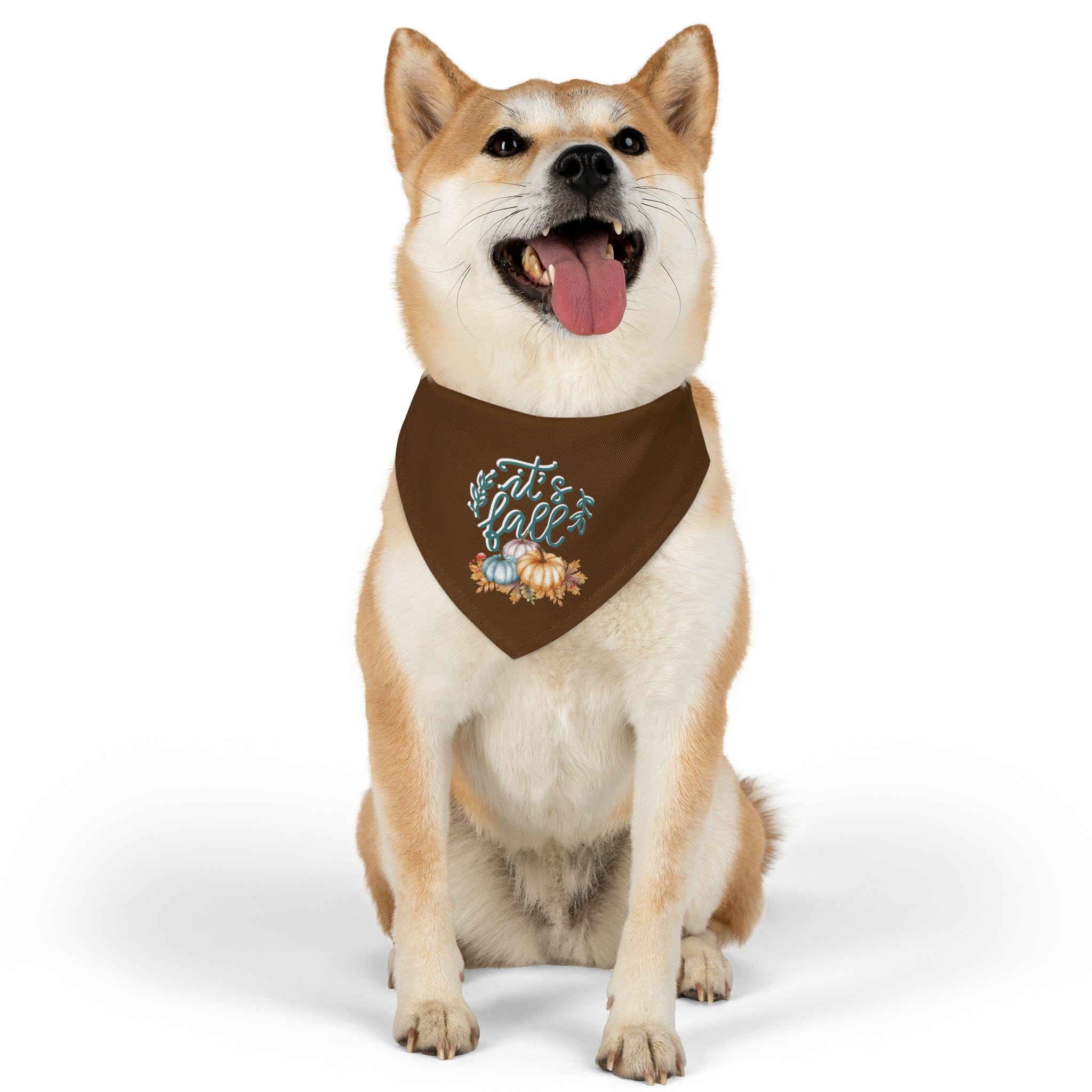 Printify Pets M It's Fall - Pet Bandana Collar