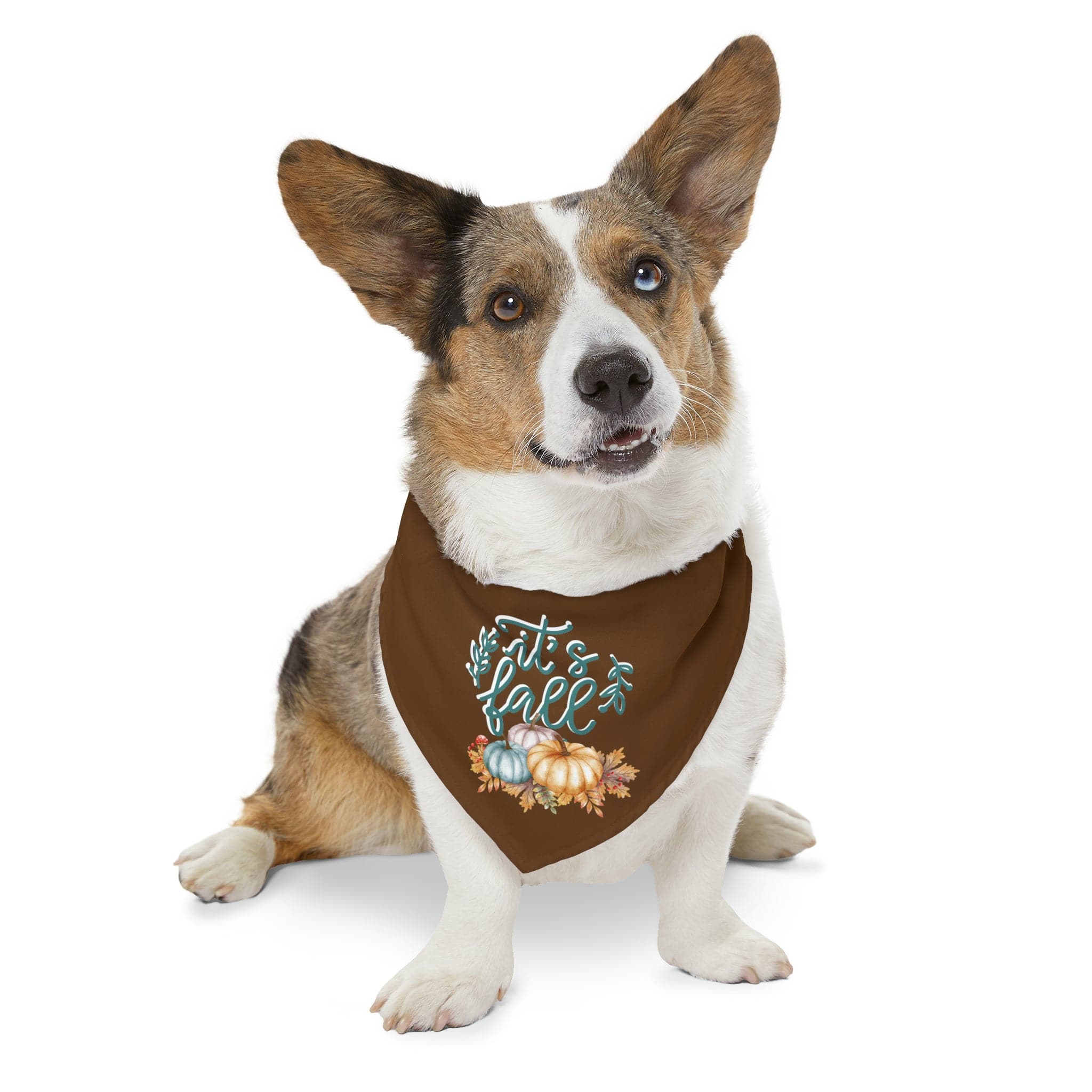 Printify Pets XL It's Fall - Pet Bandana Collar