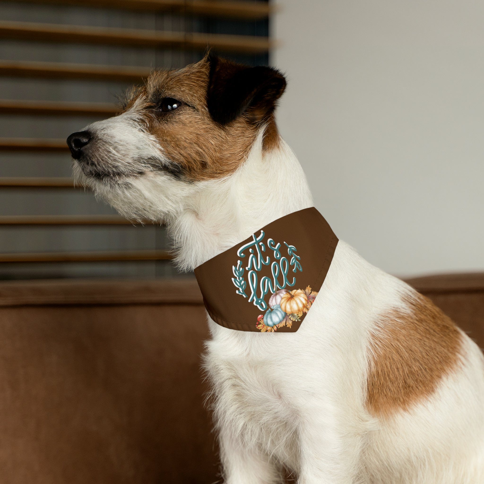 Printify Pets It's Fall - Pet Bandana Collar