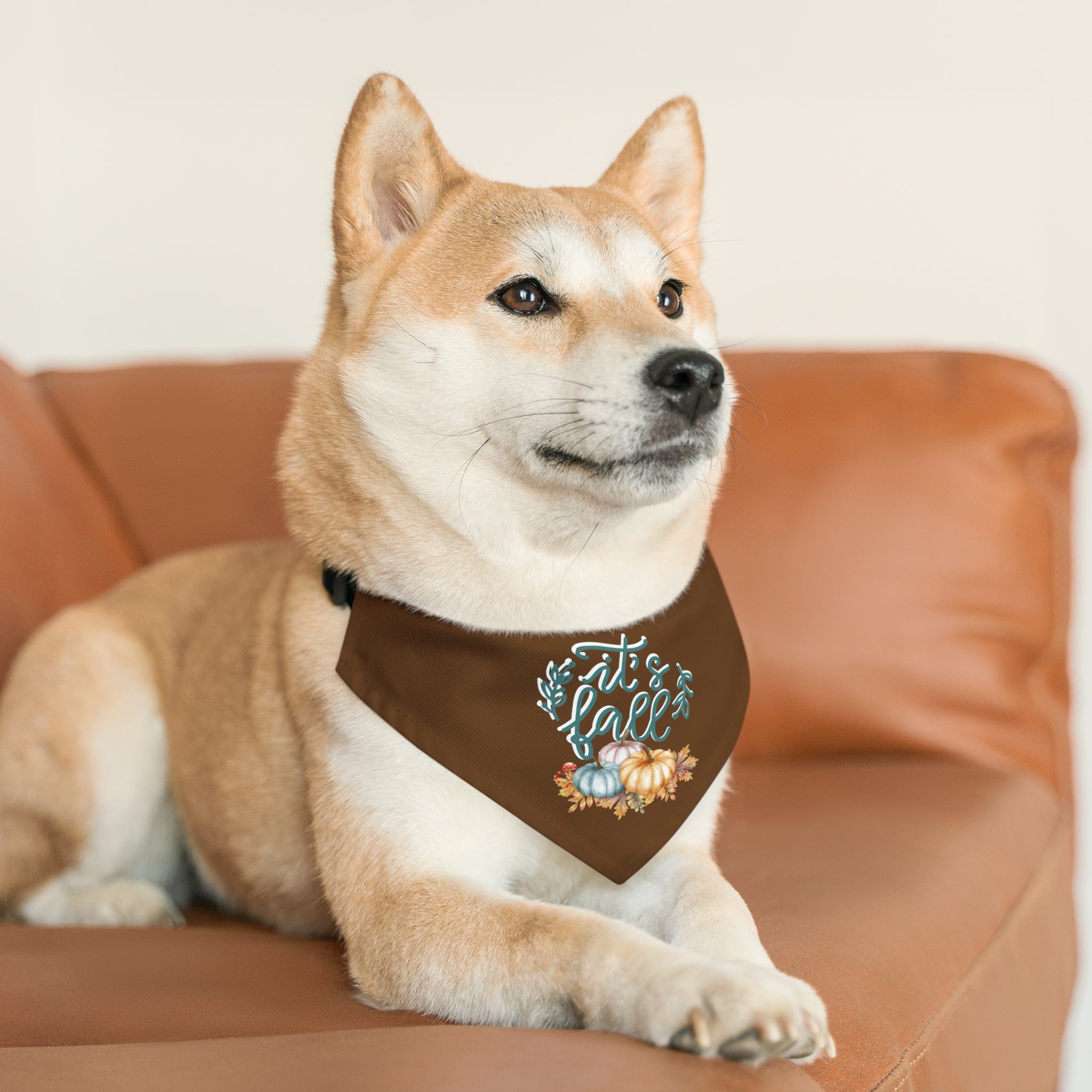 Printify Pets It's Fall - Pet Bandana Collar