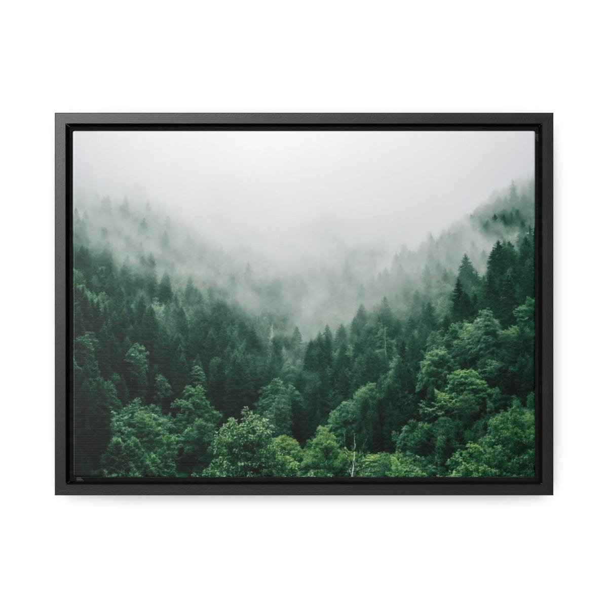 Printify Canvas Gallery Canvas Wraps, Horizontal Frame