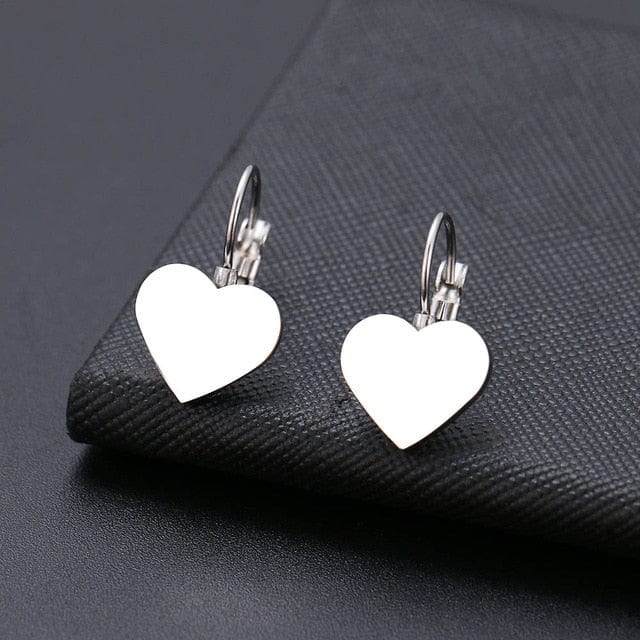 Spruced Roost Earrings Silver 6 Dainty drop Stainless lever back Earrings - 6 Styles