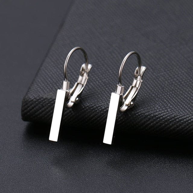 Spruced Roost Earrings Silver 4 Dainty drop Stainless lever back Earrings - 6 Styles