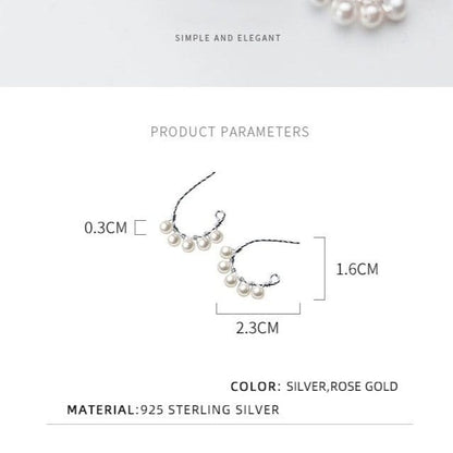 Spruced Roost Earrings Simple Hook and Hoop Earrings - 2 Colors