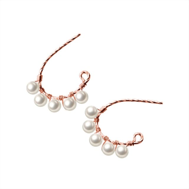 Spruced Roost Earrings Rose Gold Color Simple Hook and Hoop Earrings - 2 Colors