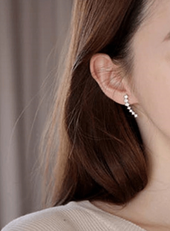 Spruced Roost Earrings Women's Cubic Zirconia Climber Earrings 1 Pair Versatile