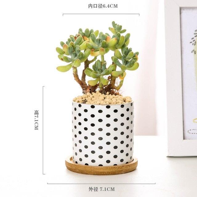 Home Embellish Store Home Decor D with tray Modern Geometric Ceramic Flower Pot - 8 Styles