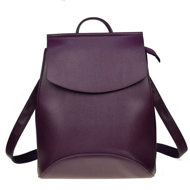 Spruced Roost Laptop Backpack dark Purple / China Classic Dash Backpack Handbag - 30 Colors